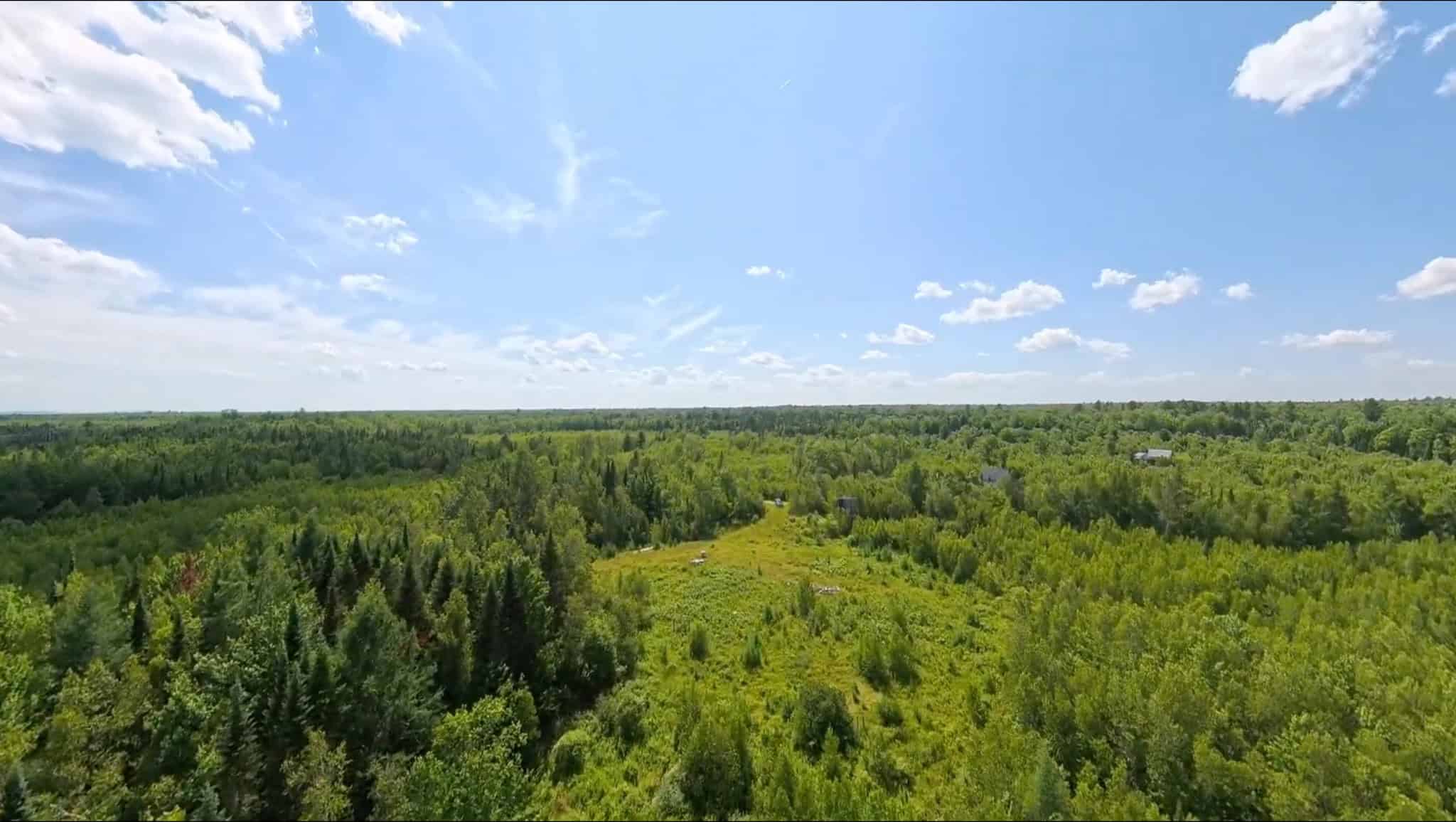 58.8 Wooded Acres with Pond – Pittsfield, Maine